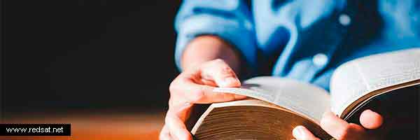 Términos alimentos en la salud